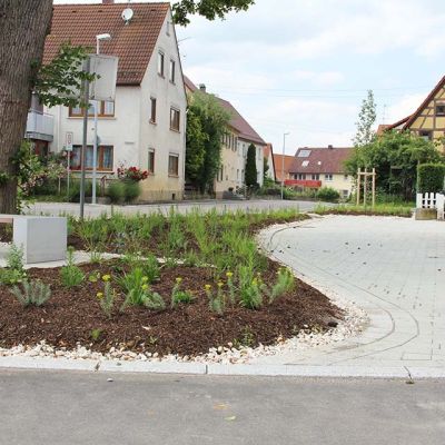 fischer-landschaftsarchitekten-bepflanzung-blaubeuren1