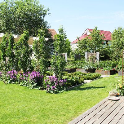 fischer-landschaftsarchitekten-eigener-garten14