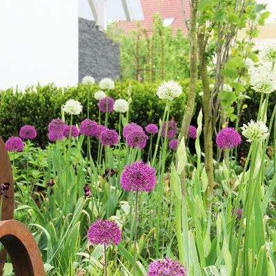 fischer-landschaftsarchitekten-eigener-garten9