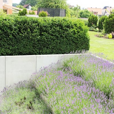 fischer-landschaftsarchitektur-hausgarten-neu-ulm-20