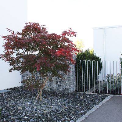fischer-landschaftsarchitektur-hausgarten-neu-ulm-3